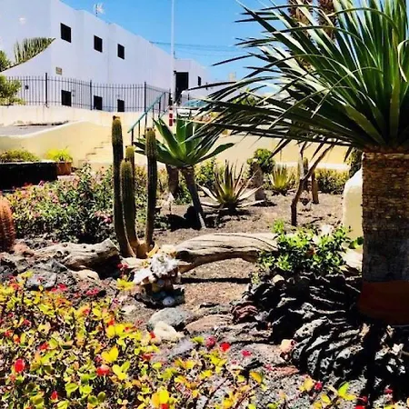 Apartamento Apartment Alessandra Only 200M From Playa Grande *